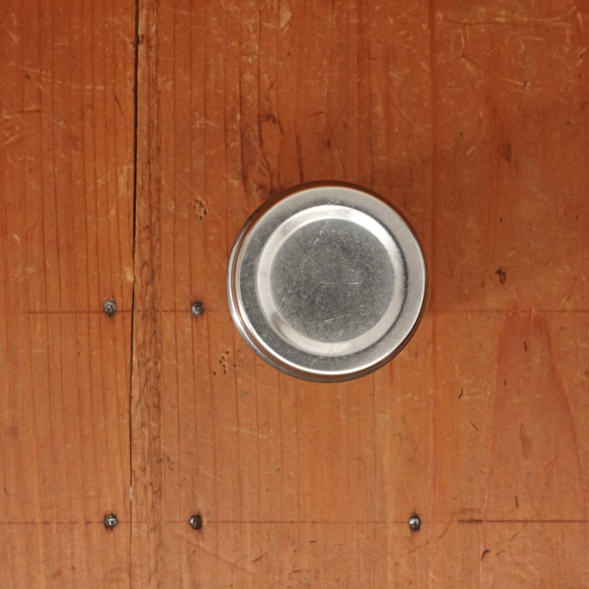 Stainless Steel Spice Shaker with Adjustable Lid