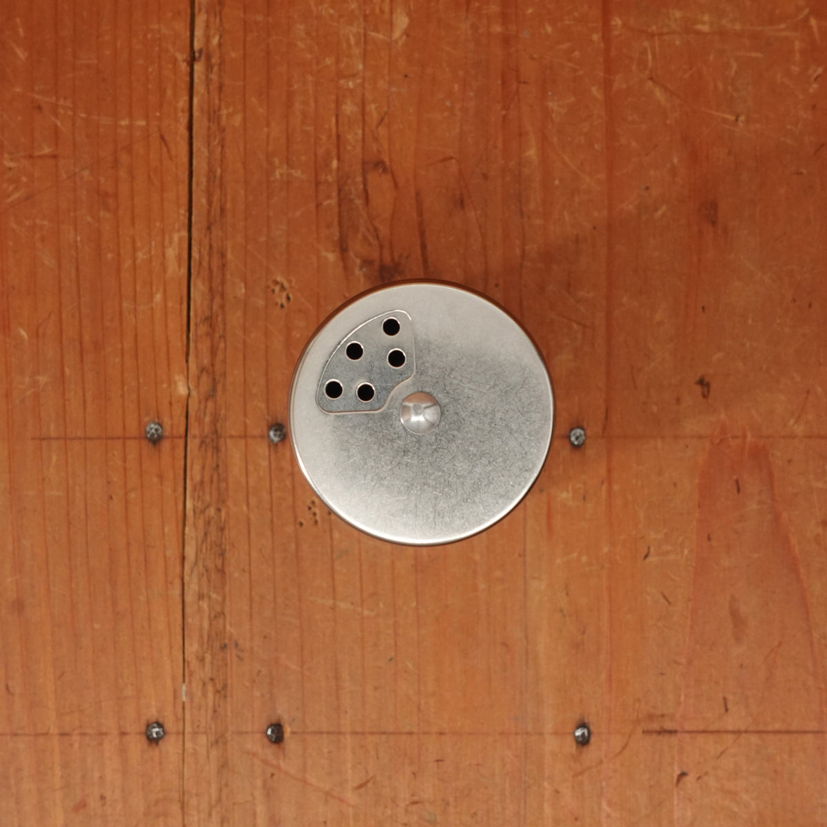 Stainless Steel Spice Shaker with Adjustable Lid