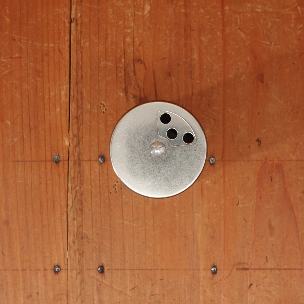 Stainless Steel Spice Shaker with Adjustable Lid