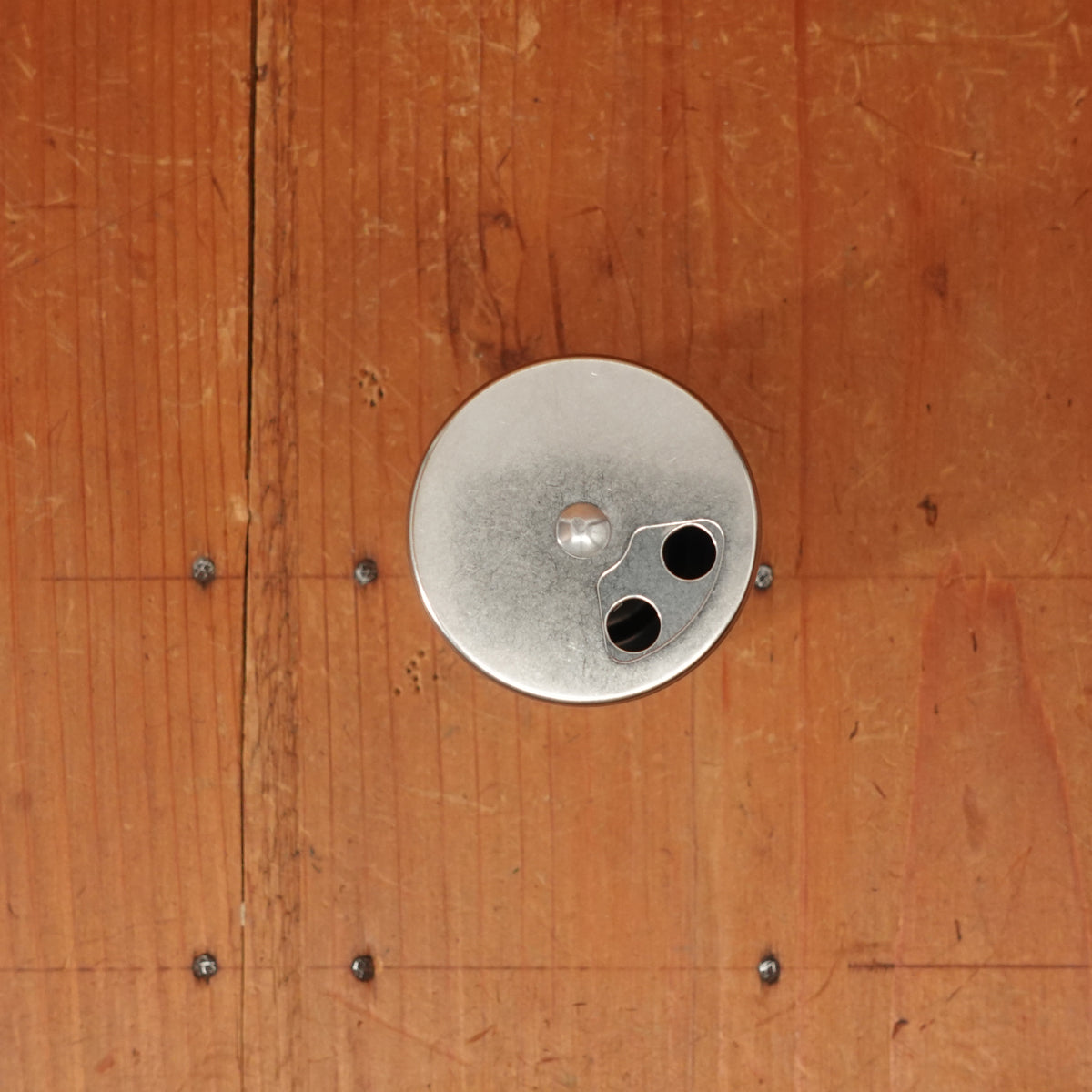 Stainless Steel Spice Shaker with Adjustable Lid