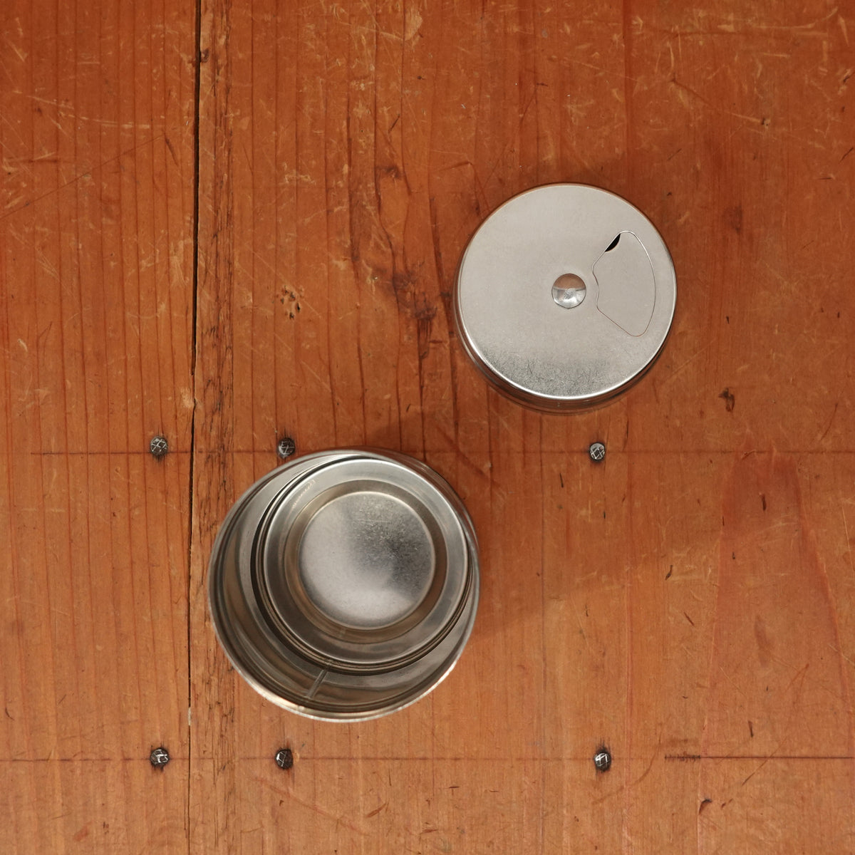 Stainless Steel Spice Shaker with Adjustable Lid