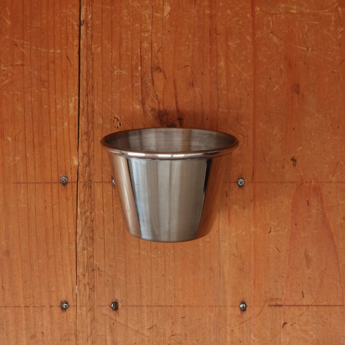 Stainless Steel Condiment Cup (Ramekin)