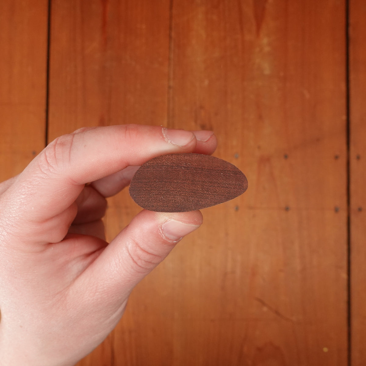 K Sabatier 5" Saigner Carbon Steel Rosewood Handle