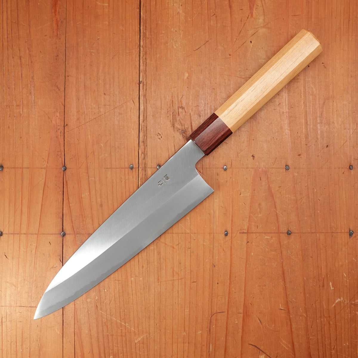 Sakai Kikumori Nakagawa 210mm Gyuto Stainless Clad Shirogami 1 Keyaki with Saya