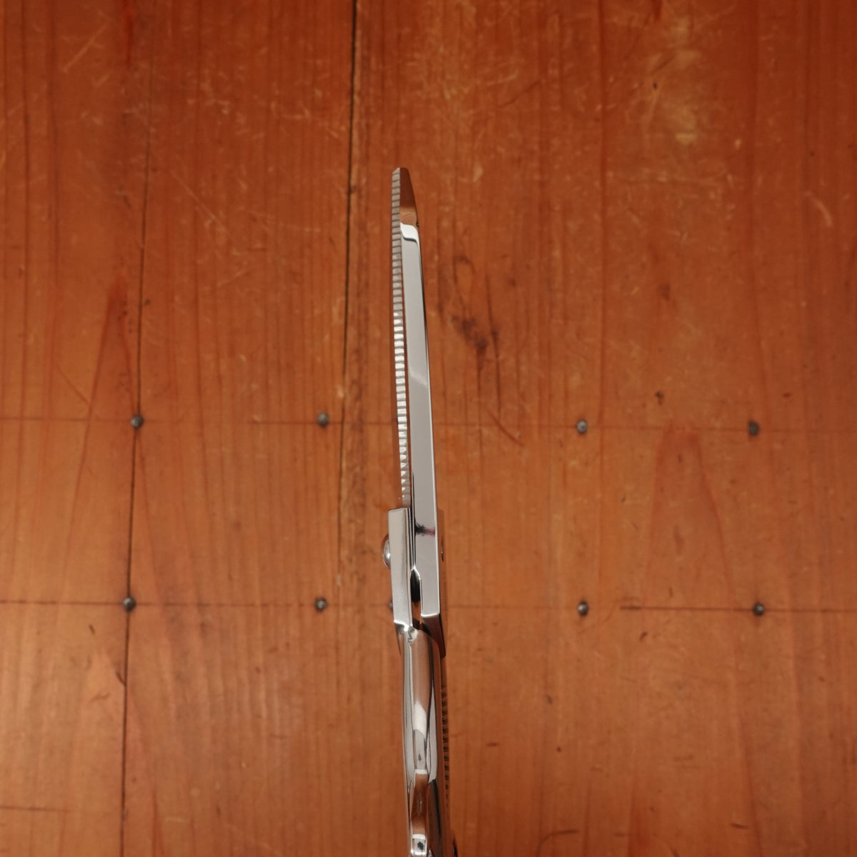 Ernest Wright 7" Turton Kitchen Shears - Stainless Steel