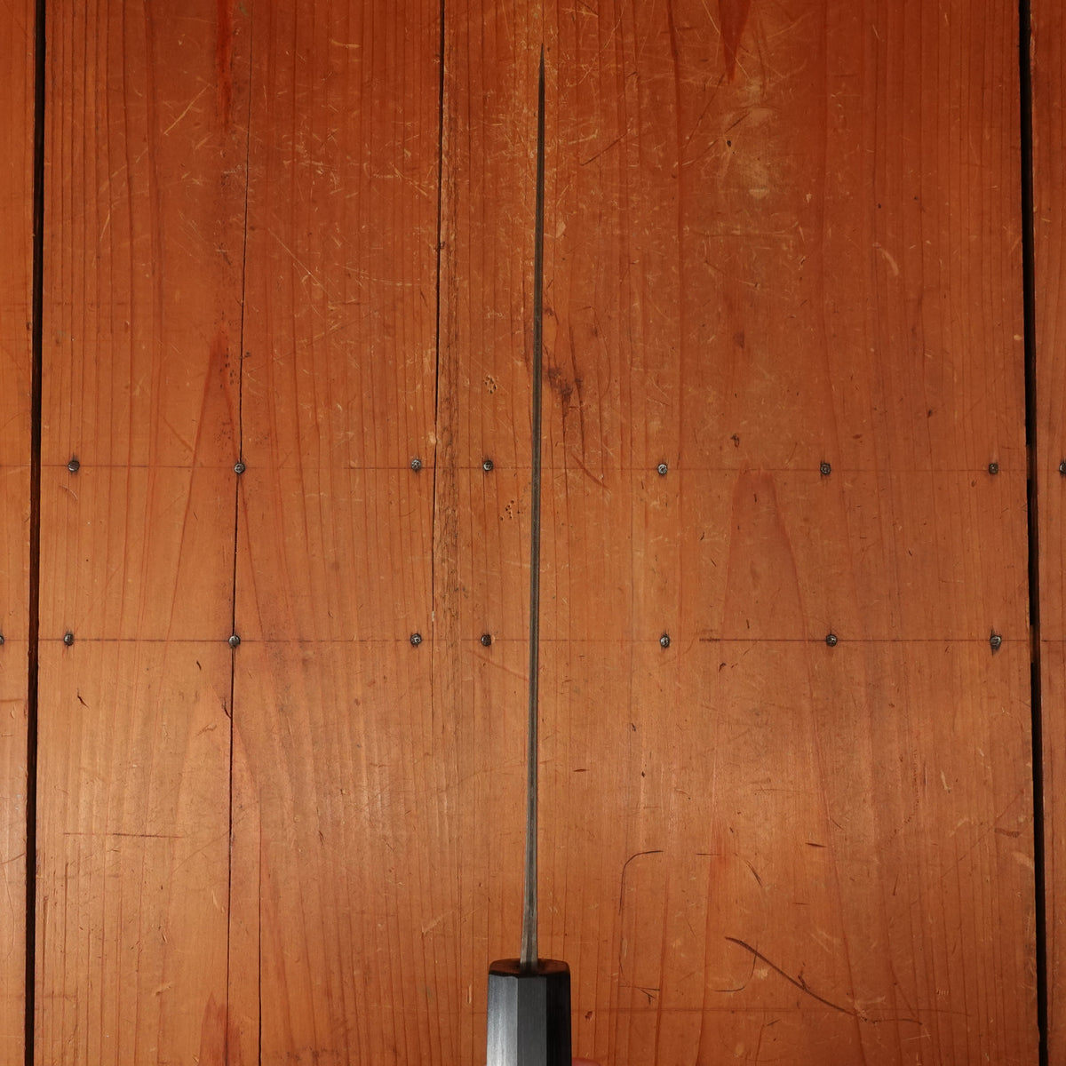 Shiro Kamo 240mm Gyuto Stainless Clad Aogami Super Oct Red Ebony