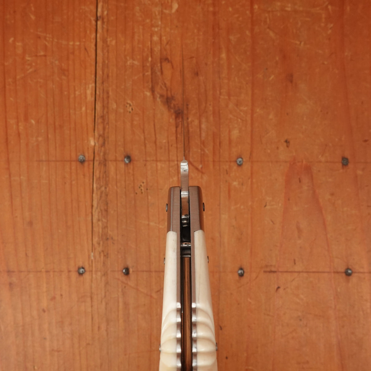 Fontenille Pataud  L'Antò  Corsican Classic 12cm Pinned and Sculpted Cow bone