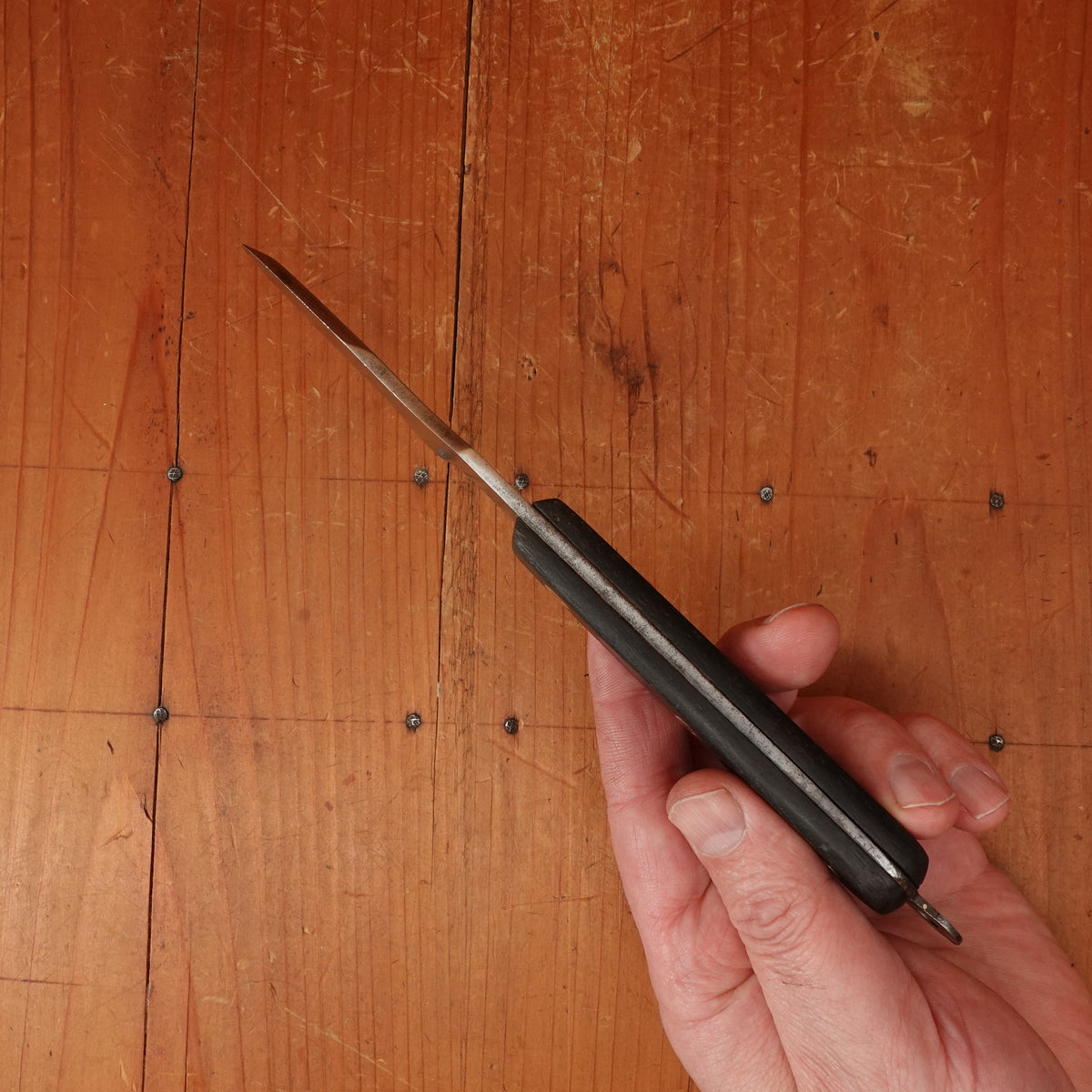 Mysterious French Tool - Bivalves? "LX" Hand Forged Rosette Rivets Carbon Steel Rosewood