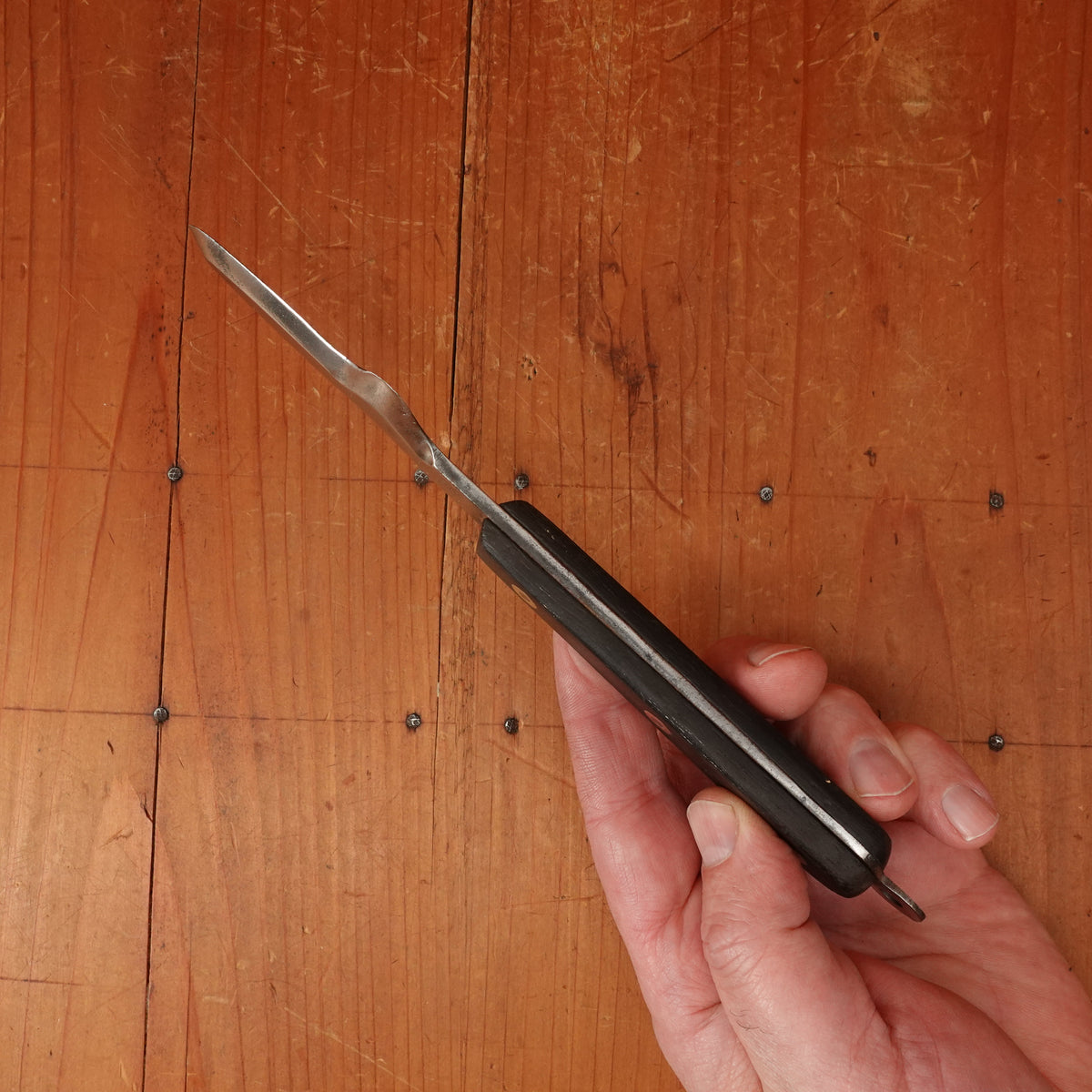 Mysterious French Tool - Bivalves? "LX" Hand Forged Rosette Rivets Carbon Steel Rosewood