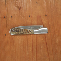 Fontenille Pataud Sperone 12cm Drop Point Stainless Lockback Ram Horn Handle