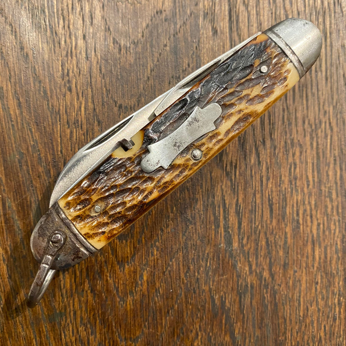 Unmarked 3 5/8" Scout Knife Multiblade Carbon Steel / Bone 1930s-60s