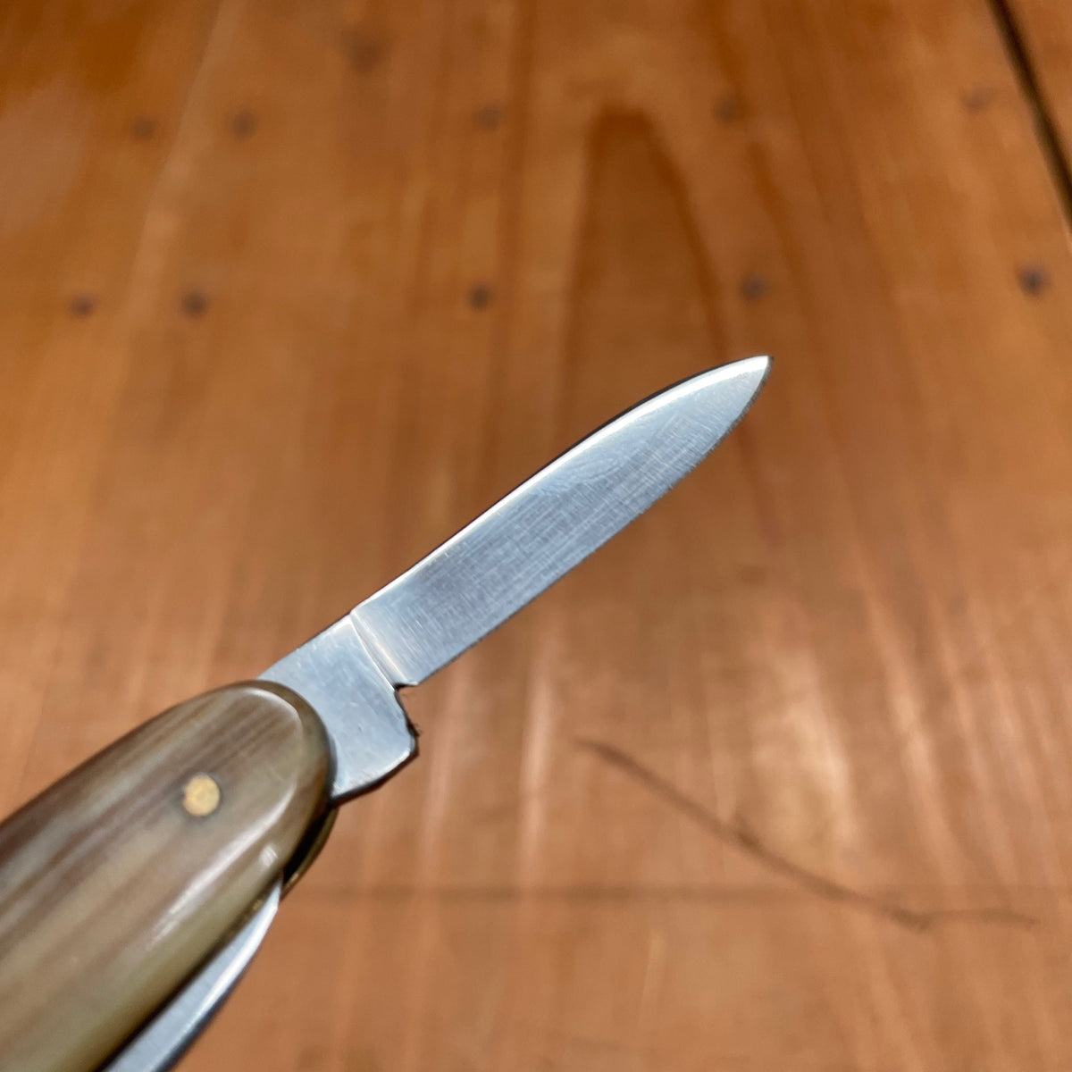 Kaufmann K55K New Old Stock 3.25" 2 Blade Pen Knife Stainless Butterscotch Solingen