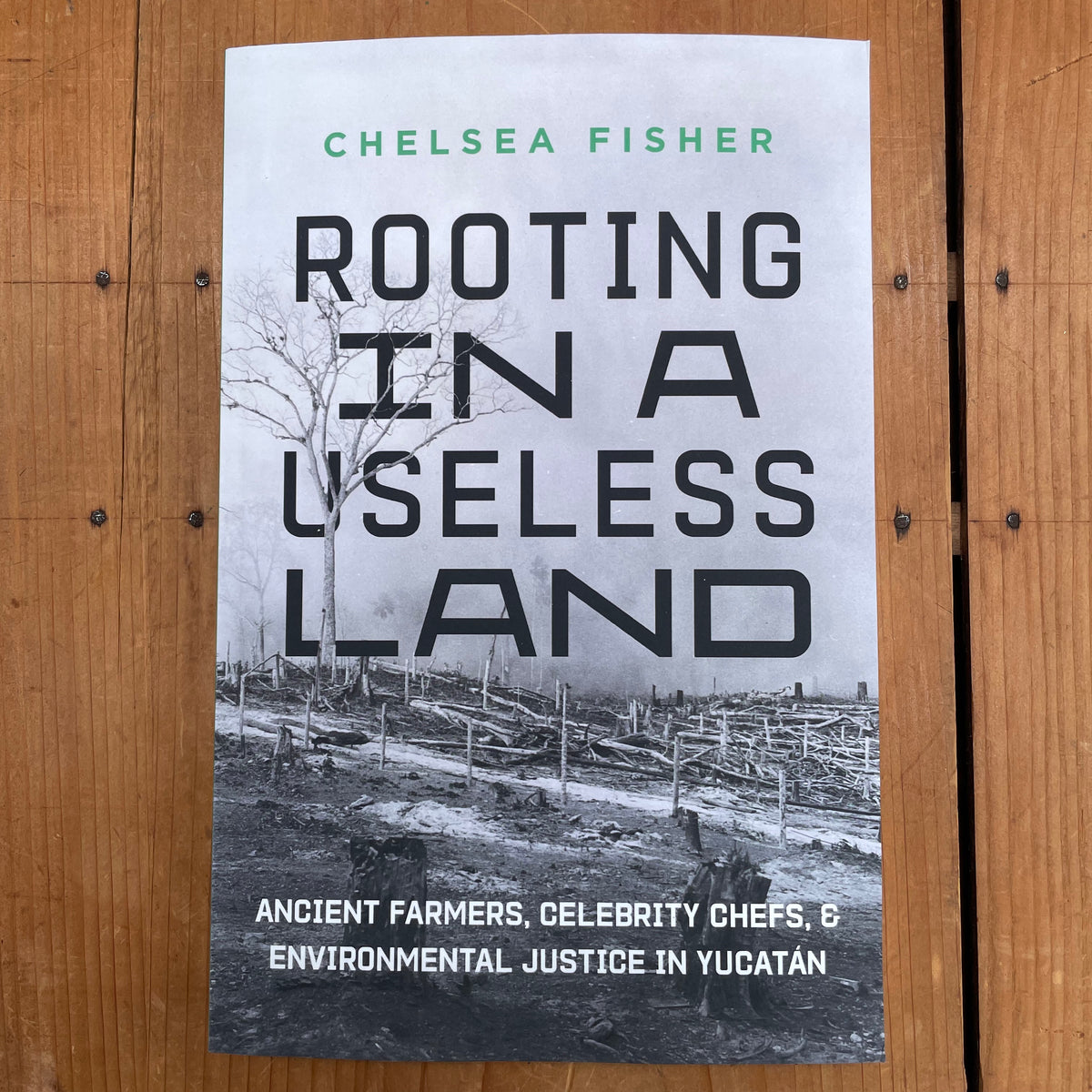 Rooting in a Useless Land - Chelsea Fisher