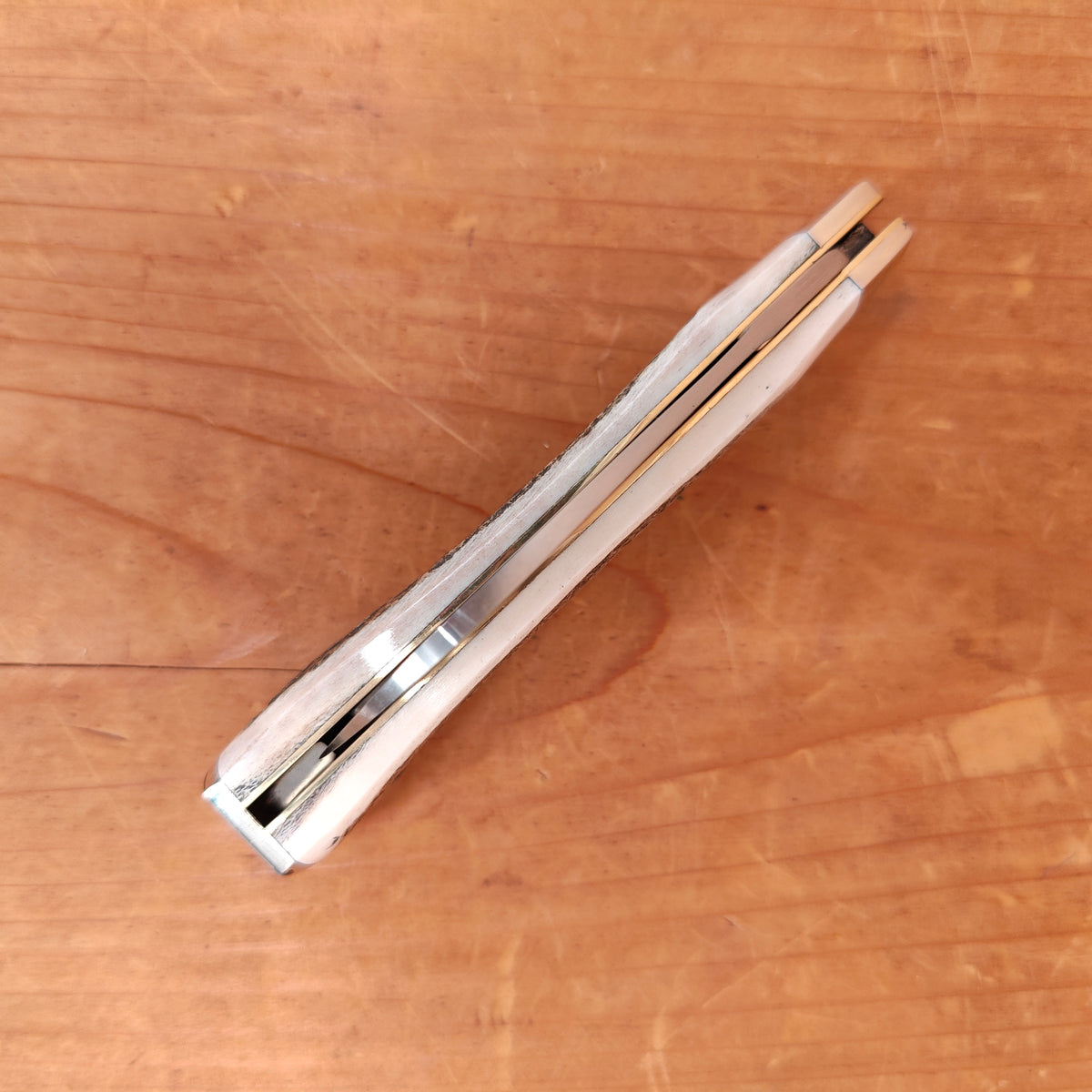 A Wright & Son Pruner 3 1/2" End Cap Pocket Knife Carbon Steel Stag TWB
