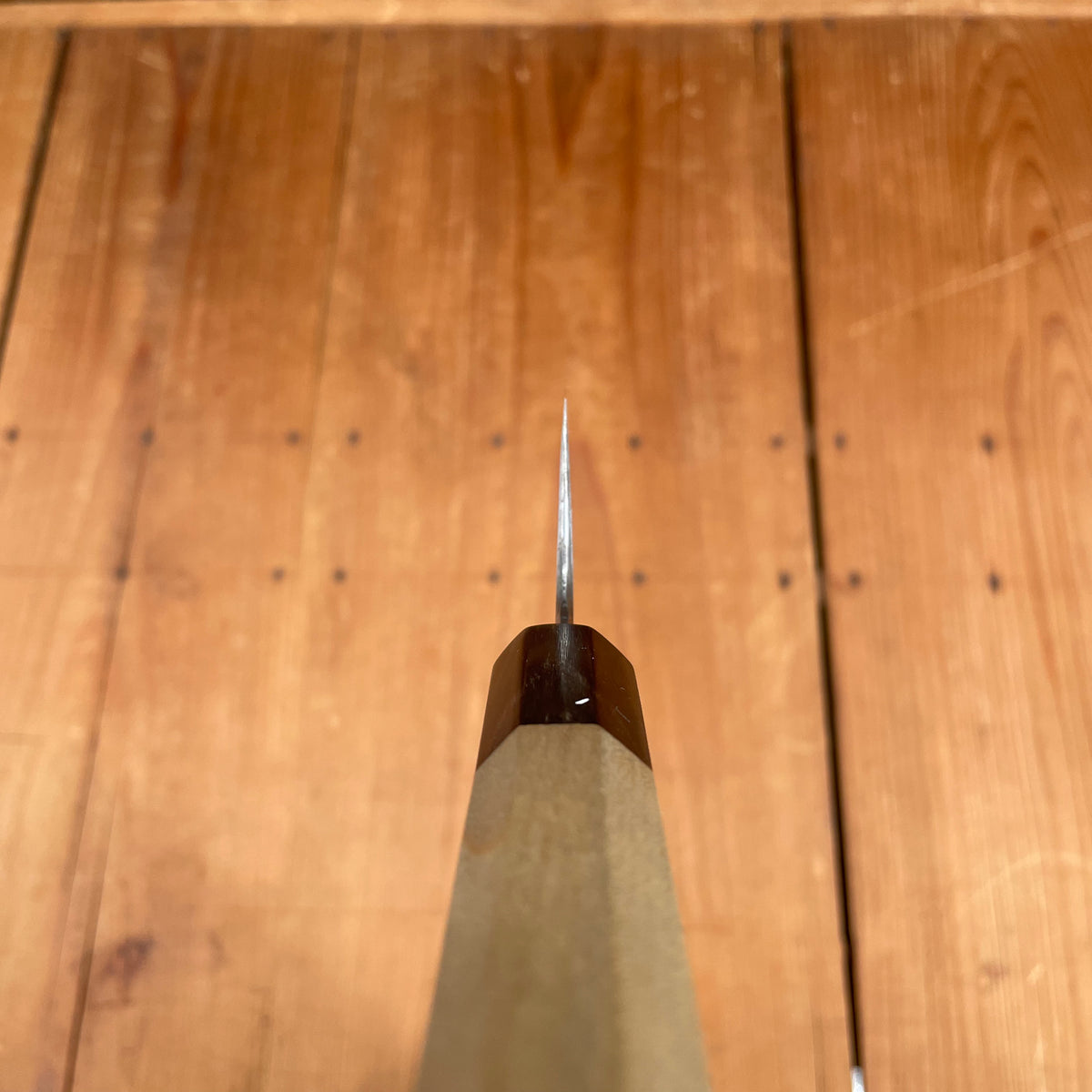 Trade In Sakai Kikumori Kikuzuki Uzu 210mm Gyuto Aogami 1 with Saya