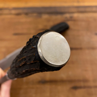 Hoffman's Columbus Carving Knife  & Steel Stag and Carbon