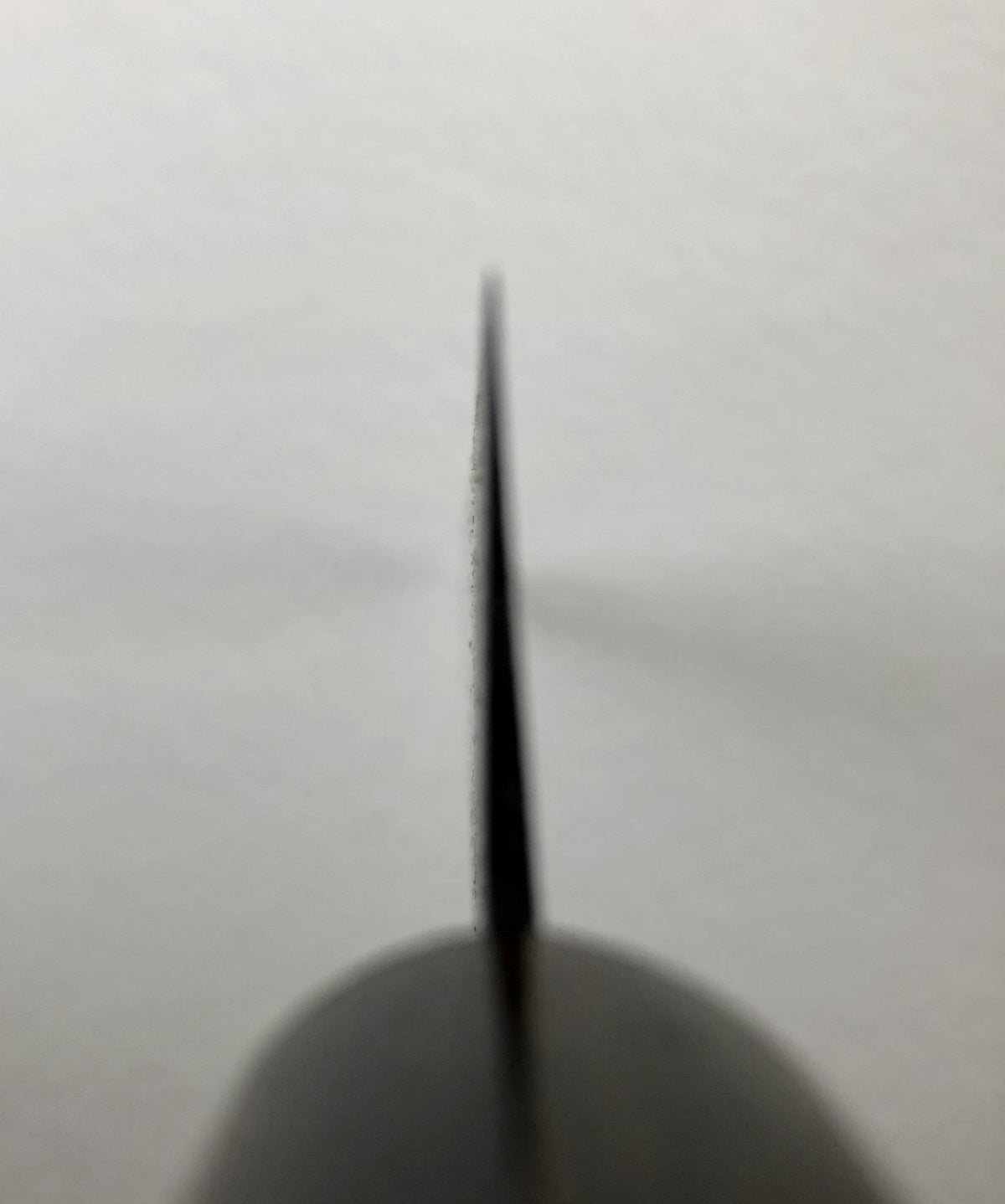 Masakane New Old Stock 300mm Sujihiki SK Carbon Steel Pakka Unmarked (No Bolster)