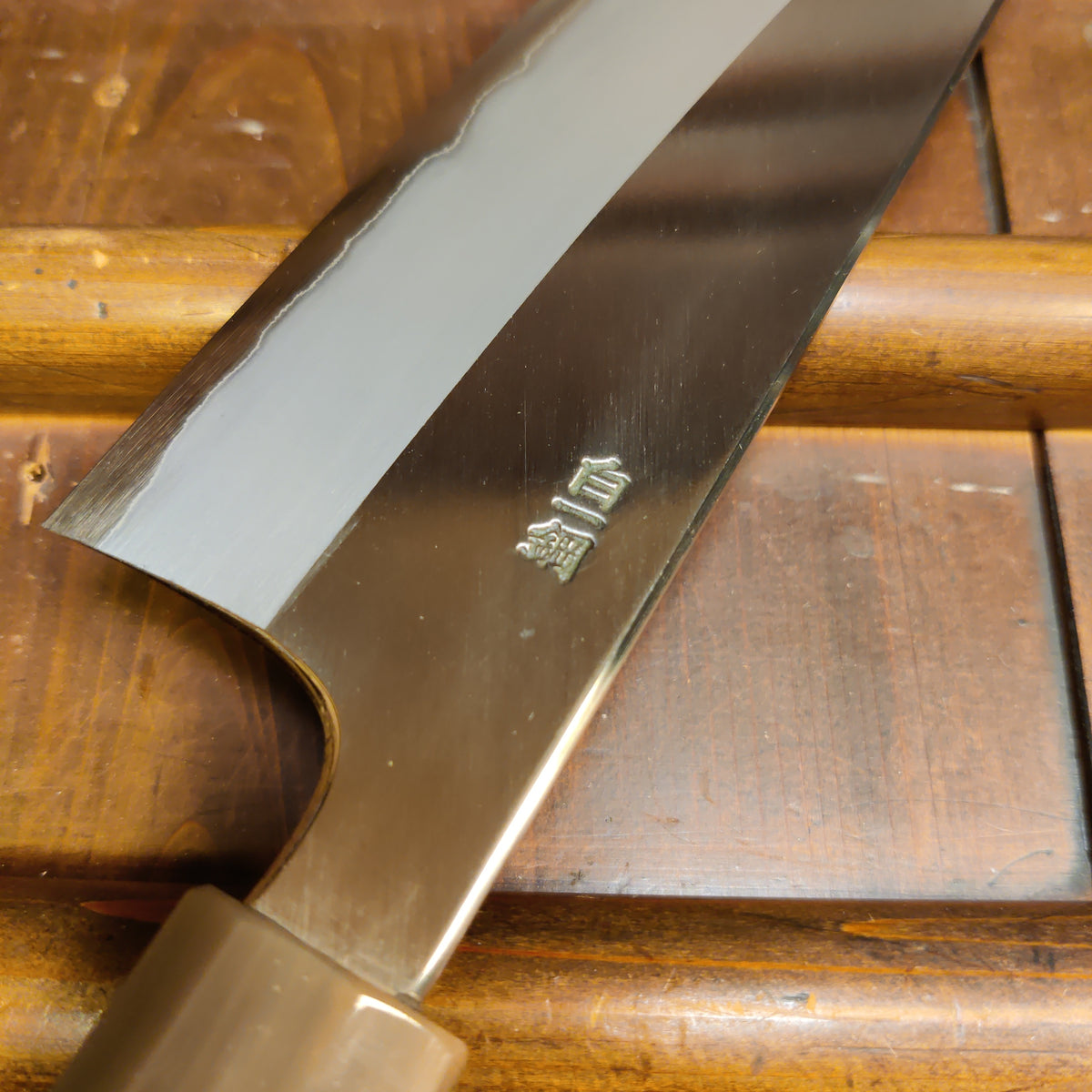 Hitohira Togashi 180mm Bunka Stainless Clad Shirogami 1 Ziricote Handle