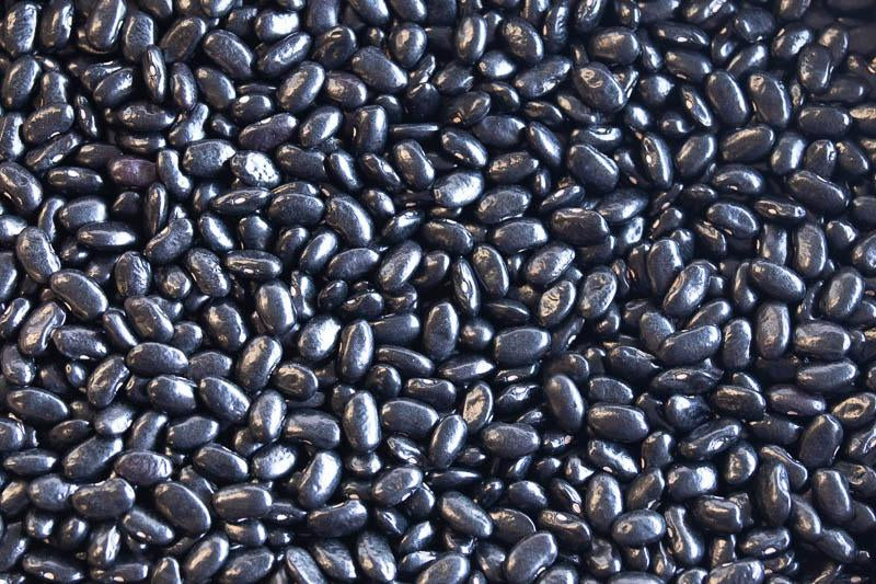 Rancho Gordo Chiapas Black Beans (Frijol Negro de Vara) - 1lb
