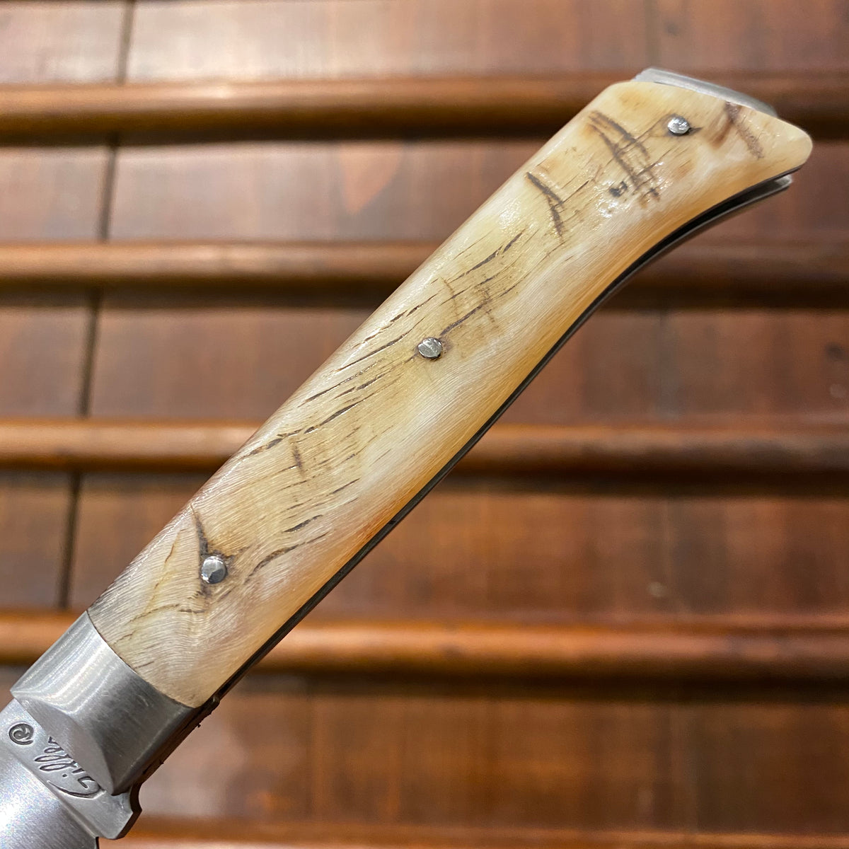 Fontenille Pataud Saint Bernard 11cm Pocket Knife Light Ram Horn Lockback