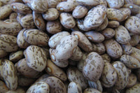 Rancho Gordo Pinto Beans - 1lb