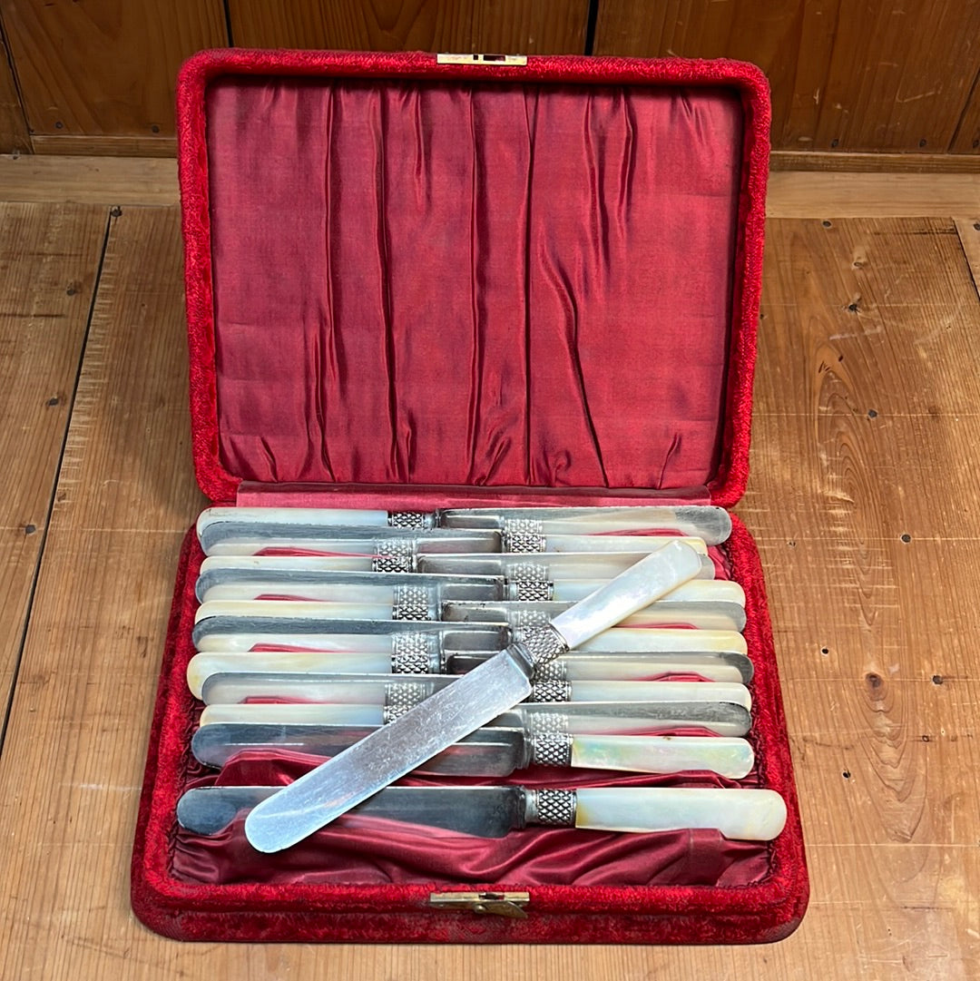 Vintage Landers Frary & Clark Luncheon Knife Set Carbon Silverplate Mother of Peal with Box - 12 Pieces