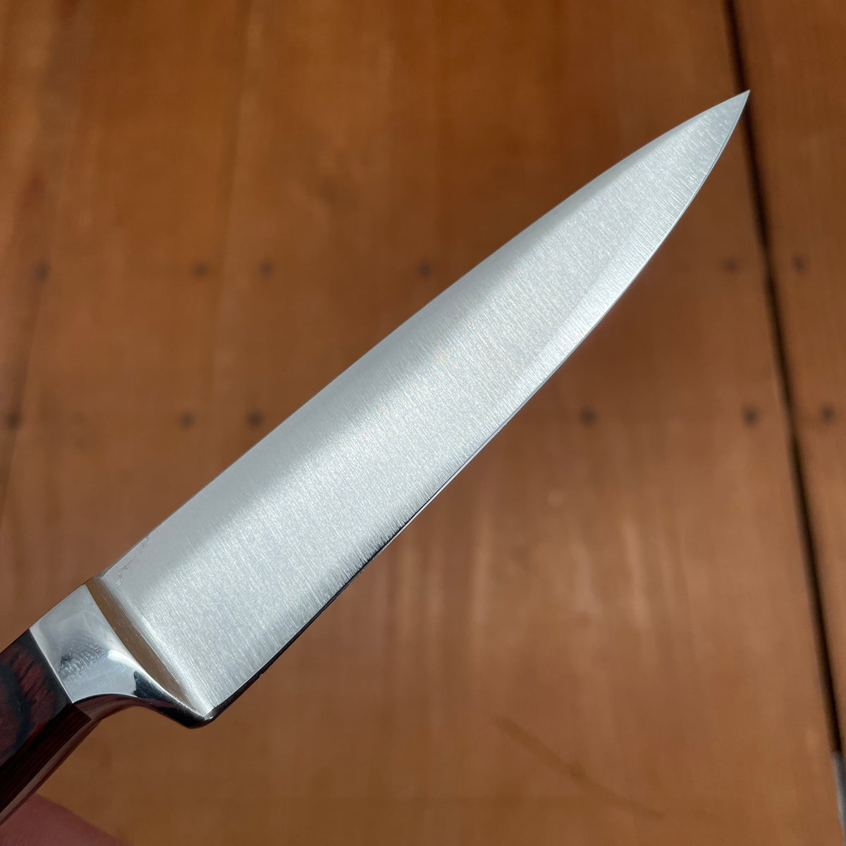 5'' Steak Knives Set : professional kitchen knife series Authentique -  Sabatier K