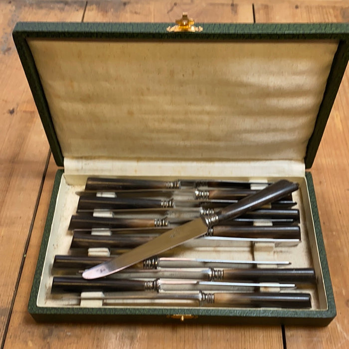 ‘122 Garanti’ French Sm Table Knife Set of 12 Carbon Steel Horn W/ Box