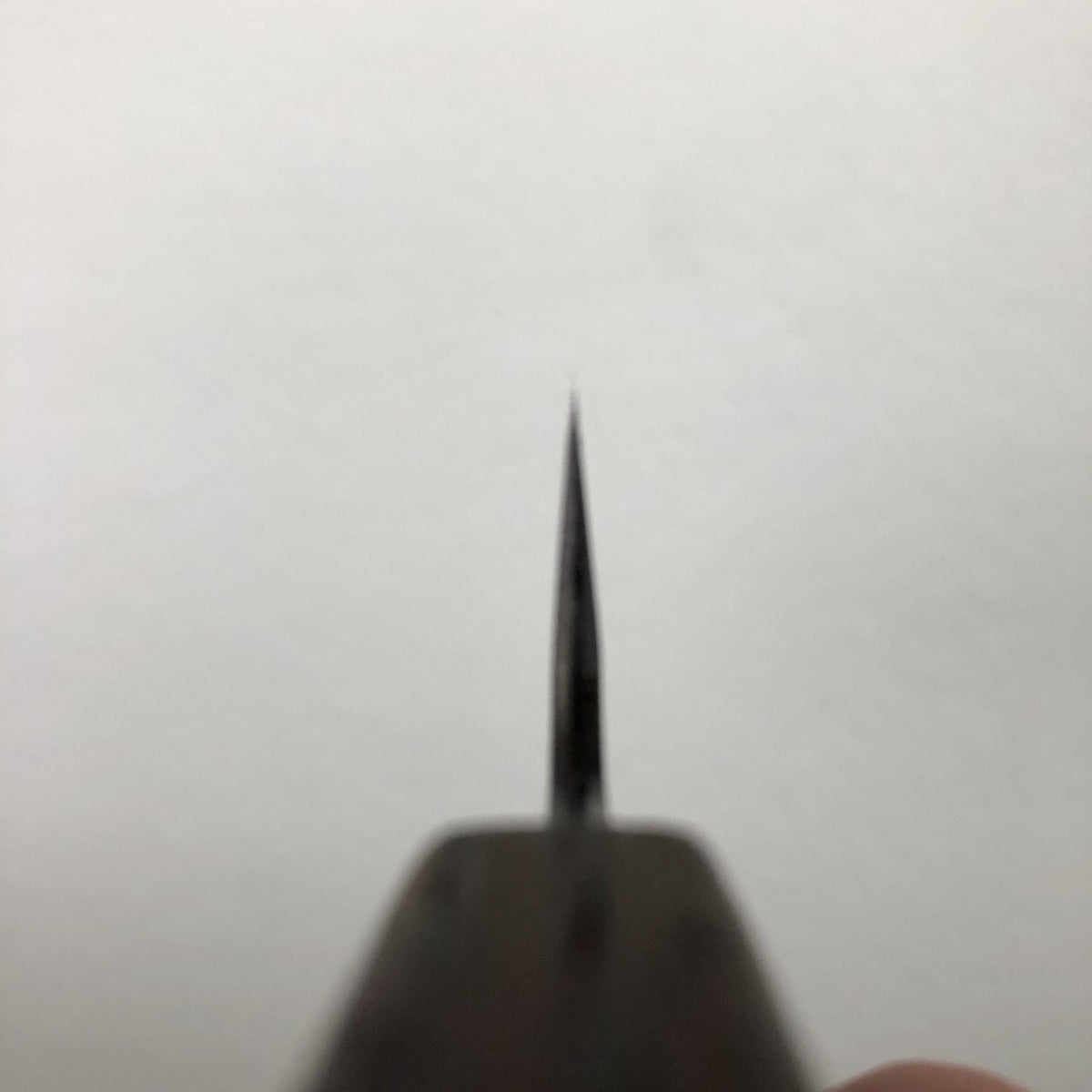 Tagai Sanjo 150mm Petty Stainless Clad Shirogami 2 Oak and Wenge Handle